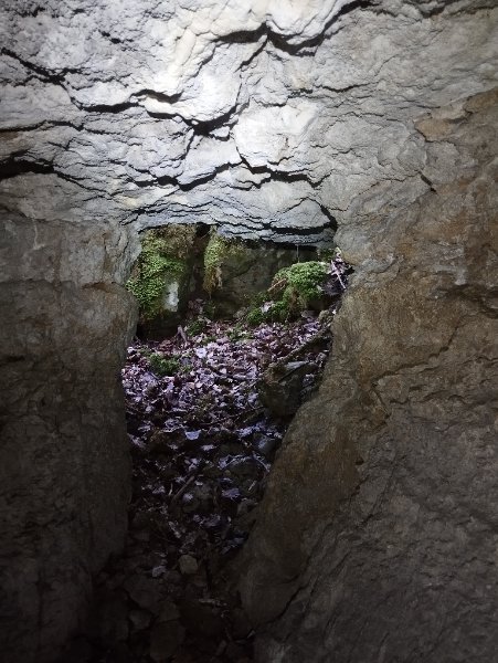 Saint-Aubin-Grotte de la Combe d'enfer Est - Entrée vue de l intérieur-Aurélien Bloch.jpg
Fichier manquant